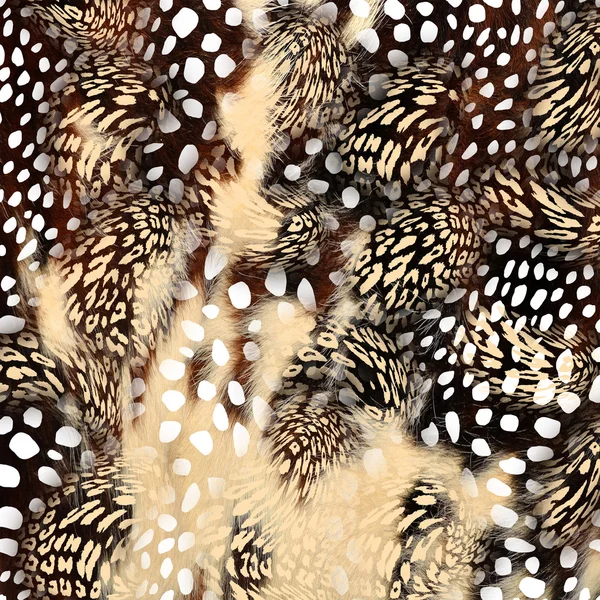 Leopard textur bakgrund — Stockfoto