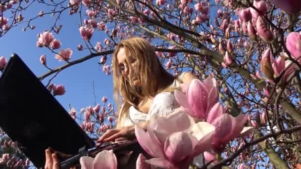Trabalhar ou jogar em seu laptop no jardim Magnolia florido é um verdadeiro deleite . — Vídeo de Stock