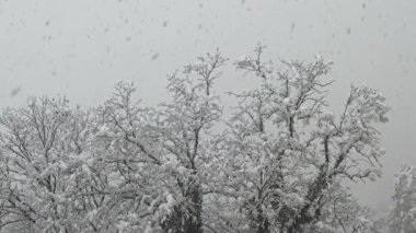 Vadisi Kayak Merkezi Krasnaya Polyana kar.