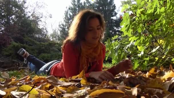 De heldere kleuren van de herfst natuur in de uitlopers van de Kaukasus. — Stockvideo