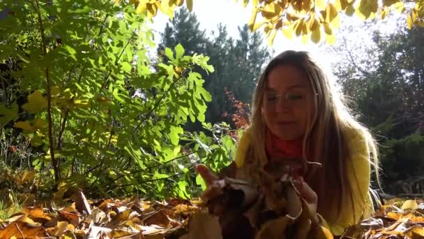 De heldere kleuren van de herfst natuur in de uitlopers van de Kaukasus. — Stockvideo