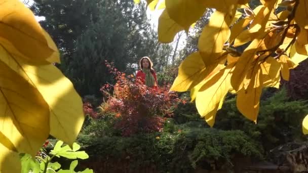 コーカサス山脈のふもとの小丘の秋の自然の鮮やかな色. — ストック動画