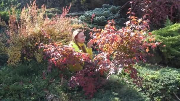 Ljusa färger i höst naturen vid foten av Kaukasus. — Stockvideo