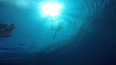 Dalgıçlardan arasında dans dalışlar.