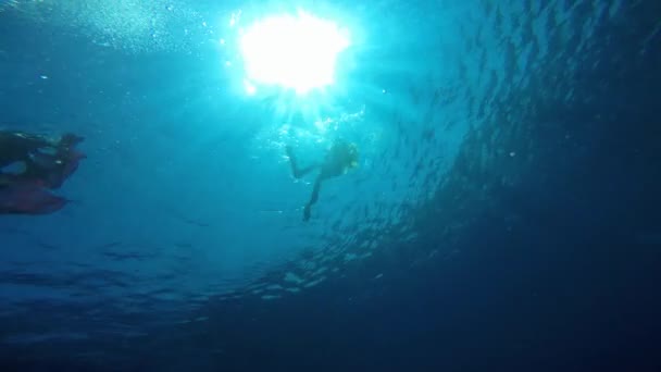 Dansen onderwater duikers tussendoor duiken. — Stockvideo