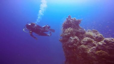 Renkli mercan resif filme sualtı kameramanı.