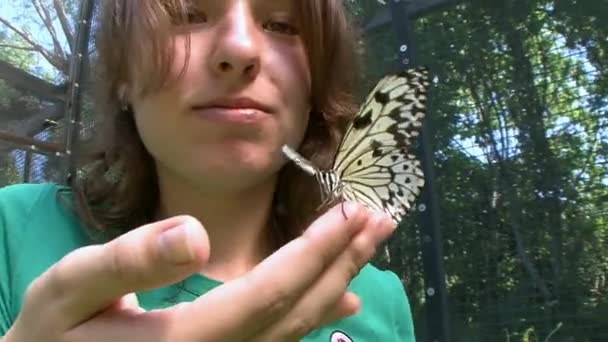 푸켓 섬의 공원 나비에 나비의 부드러운 터치. — 비디오