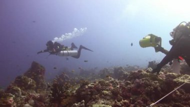 Sualtı dalış Maldivler'de kez akıntı tarafından eşlik ediyor.