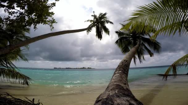 La pittoresca isola disabitata dell'arcipelago delle Maldive . — Video Stock