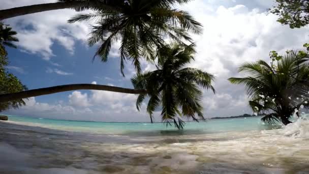 L'île pittoresque et inhabitée de l'archipel des Maldives . — Video