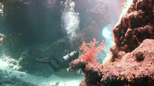 Exciting underwater diving in underwater caves of the reef St. Johns. — Stock Video