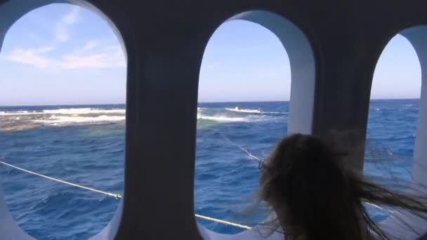 Havet dykning Safari på Röda havet nära Egypten. — Stockvideo