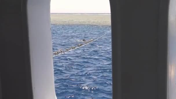 이집트 근처 홍 해에 바다 다이빙 사파리. — 비디오