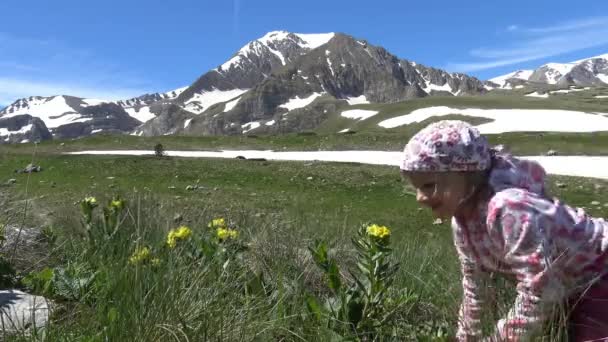 Toeristische camping in de nabijheid van de berg Oshten. De Kaukasische bergen. Rusland. — Stockvideo