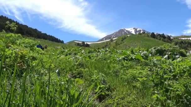 Rutas de senderismo en las inmediaciones de la montaña Oshten. Las montañas caucásicas. Rusia . — Vídeo de stock