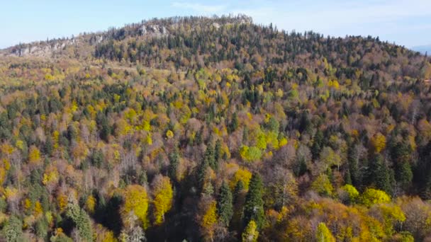 Осень Окружение Кавказского Заповедника — стоковое видео