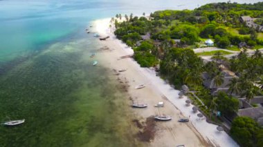 Mafyanın tropik adası. Tanzanya 'da. Hint Okyanusu 'nun.