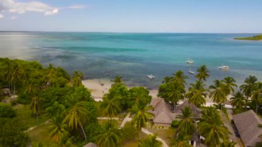 Mafyanın tropik adası. Tanzanya 'da. Hint Okyanusu 'nun.