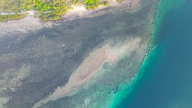 Mafyanın tropik adası. Tanzanya 'da. Hint Okyanusu 'nun.