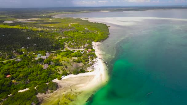 Ilha Tropical Máfia Tanzânia Oceano Índico — Vídeo de Stock