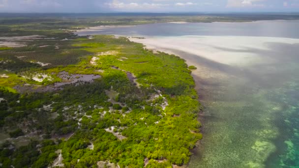 Isla Tropical Mafia Tanzania Del Océano Índico — Vídeos de Stock