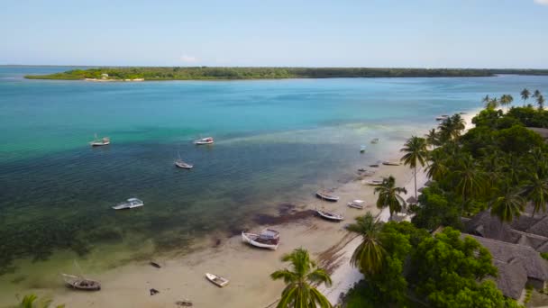 Ilha Tropical Máfia Tanzânia Oceano Índico — Vídeo de Stock