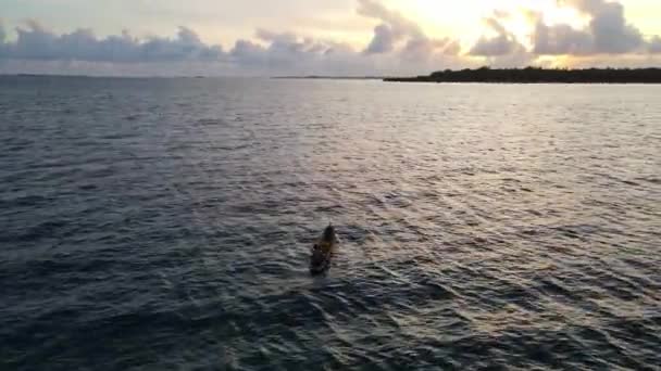 Рибний Човен Біля Острова Мафія Танзанія Індійський Океан — стокове відео