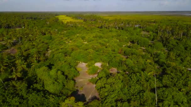 Ilha Tropical Máfia Tanzânia Oceano Índico — Vídeo de Stock