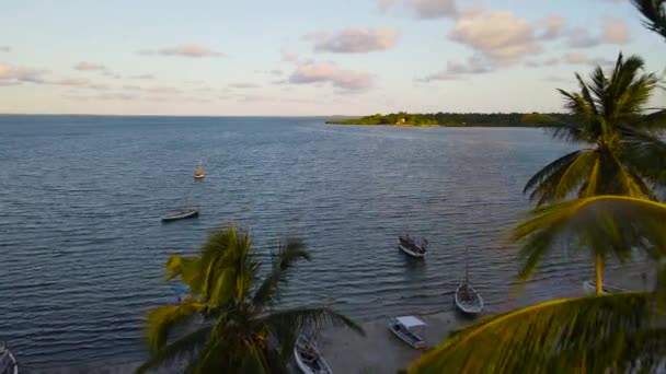 Amanhecer Sobre Ilha Tropical Máfia Tanzânia Oceano Índico — Vídeo de Stock