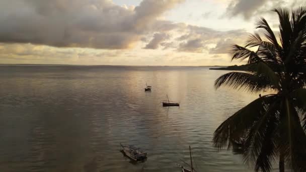 Aube Dessus Île Tropicale Mafia Tanzanie Océan Indien — Video