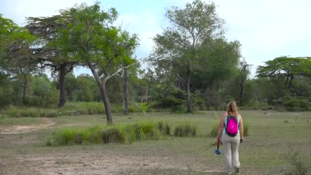 Zürafalar Selous Ulusal Parkı Nda Heyecanlı Bir Safari Gezisi Tanzanya — Stok video
