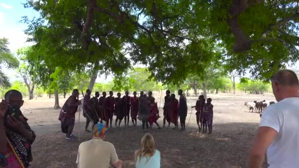 Відвідування Племені Масаї Танзанія Африка — стокове відео