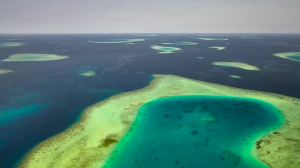 Île Maldivienne Guraidhoo Ses Environs — Video