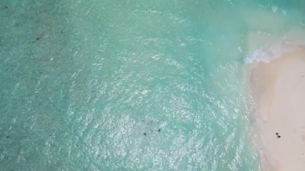 Descanse Nade Ilha Guraidhoo Das Maldivas — Vídeo de Stock