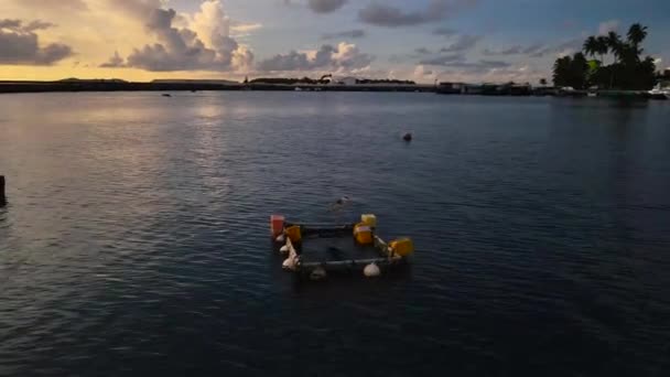Сонячний Схід Від Мальдівського Острова Гураіду — стокове відео