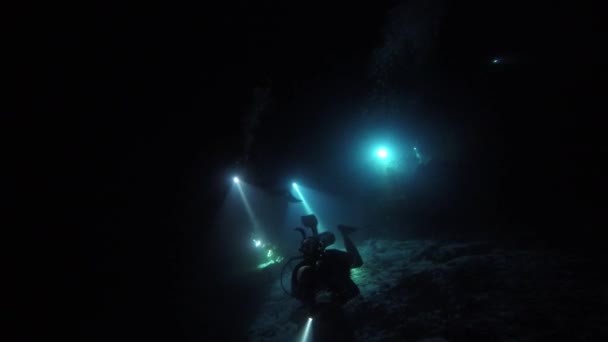 Plongée Nocturne Sur Les Récifs Archipel Des Maldives — Video