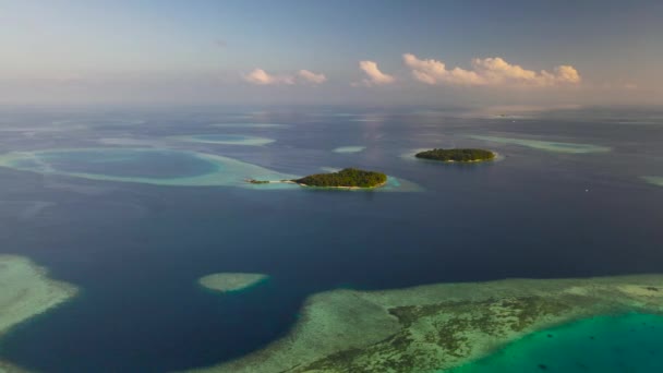 Isola Maldiviana Guraidhoo Dintorni — Video Stock