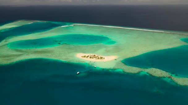 Ilha Das Maldivas Guraidhoo Seus Arredores — Vídeo de Stock