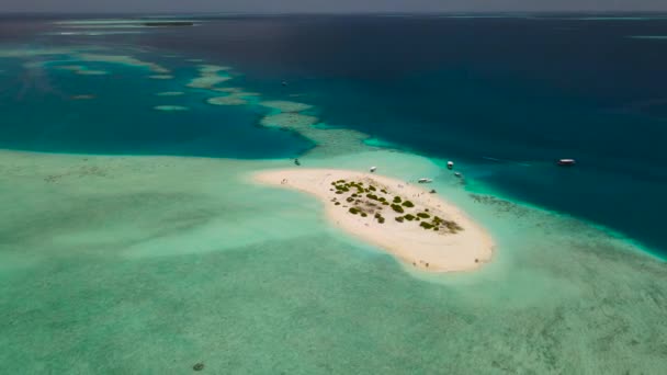 Île Maldivienne Guraidhoo Ses Environs — Video