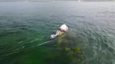 Angara Nehri 'nin kaynağındaki 