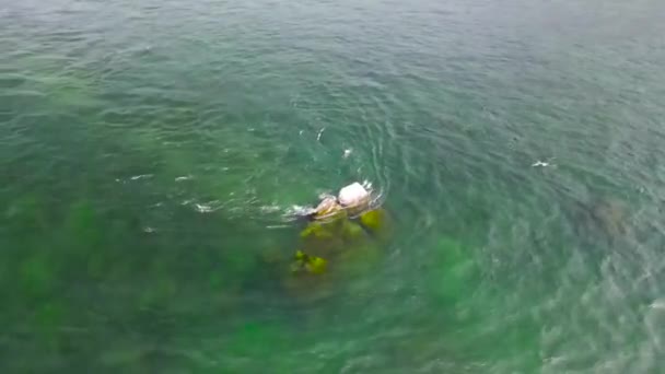 Cima Roca Submarina Shaman Stone Fuente Del Río Angara Viaje — Vídeo de stock