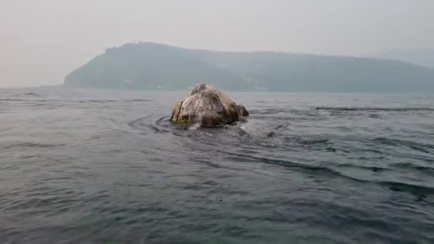 Die Spitze Des Unterwasserfelsens Shaman Stone Ein Ausflug Zum Baikalsee — Stockvideo