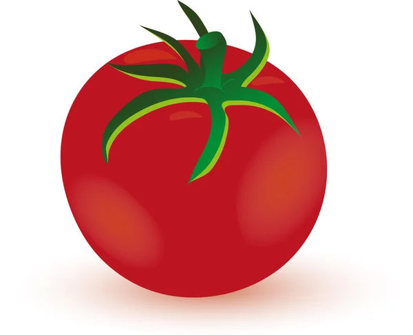 빨간 토마토 배경 — 스톡 사진