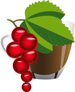 Beyaz bir arka plan üzerinde izole kırmızı kuş üzümü ile çay