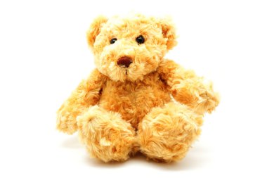 İzole kahverengi ayıcık