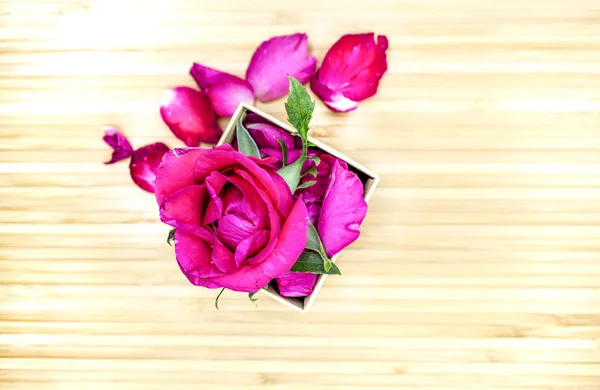 Pink rose in box on wooden background, Valentines day background — Stock Photo, Image