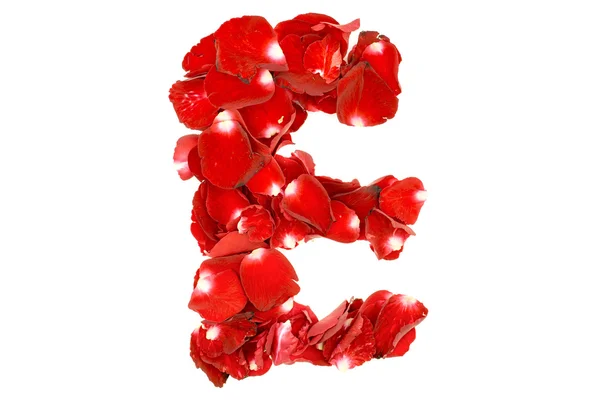 Letter "E" made from red roses petals. Isolated on white backgro — Stock Photo, Image