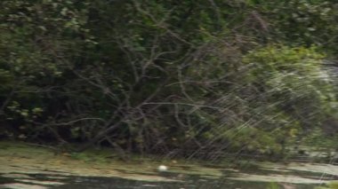 Parka gidelim. Yaz günü.