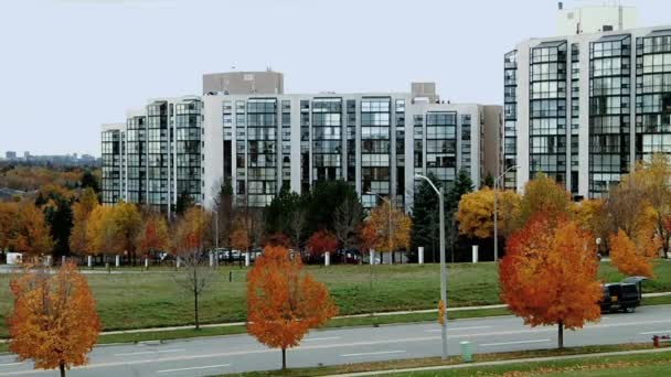 Árboles de colores en la ciudad, arquitectura moderna . — Vídeo de stock