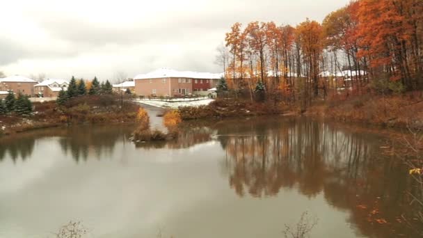 Pond in the park, reflections in the water. — Stock Video